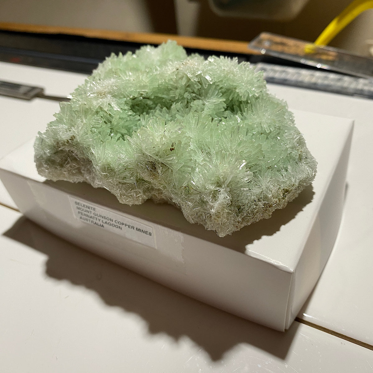 RARE GREEN SELENITE FROM PERNATTY LAGOON, AUSTRALIA LARGE 124g. MF5441