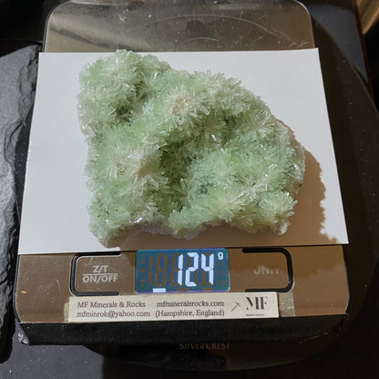 RARE GREEN SELENITE FROM PERNATTY LAGOON, AUSTRALIA LARGE 124g. MF5441