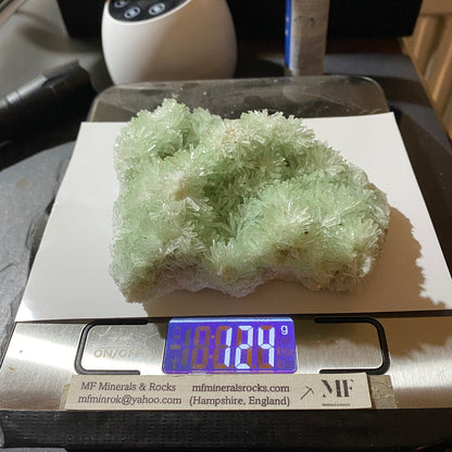 RARE GREEN SELENITE FROM PERNATTY LAGOON, AUSTRALIA LARGE 124g. MF5441
