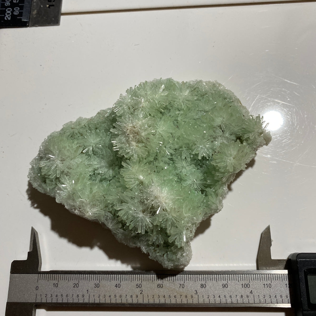 RARE GREEN SELENITE FROM PERNATTY LAGOON, AUSTRALIA LARGE 124g. MF5441
