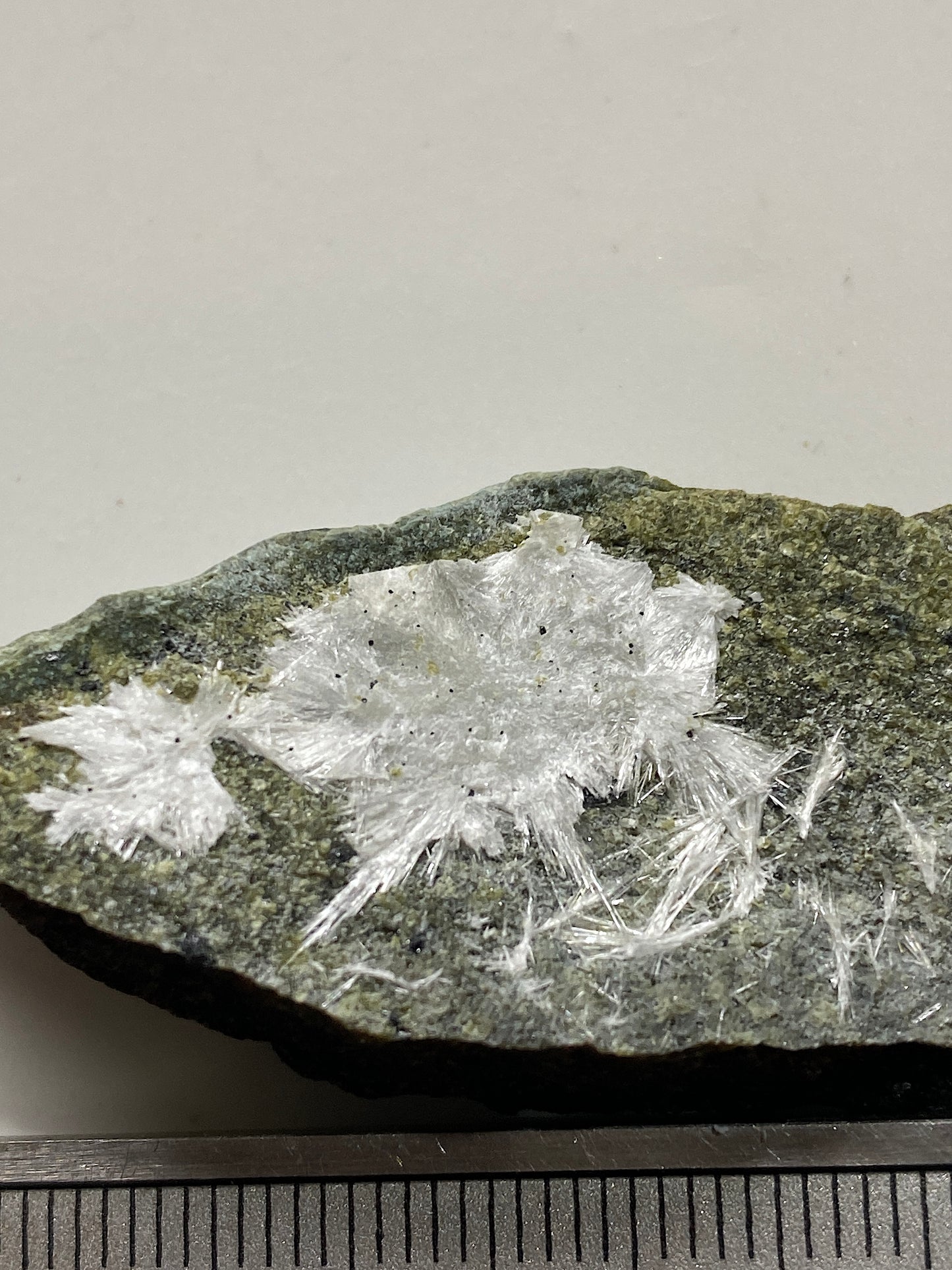 ARTINITE/CHROMITE : GULSEN QUARRY, STYRIA, AUSTRIA. 14g MF4734