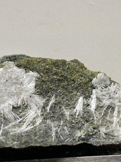 ARTINITE/CHROMITE : GULSEN QUARRY, STYRIA, AUSTRIA. 14g MF4734