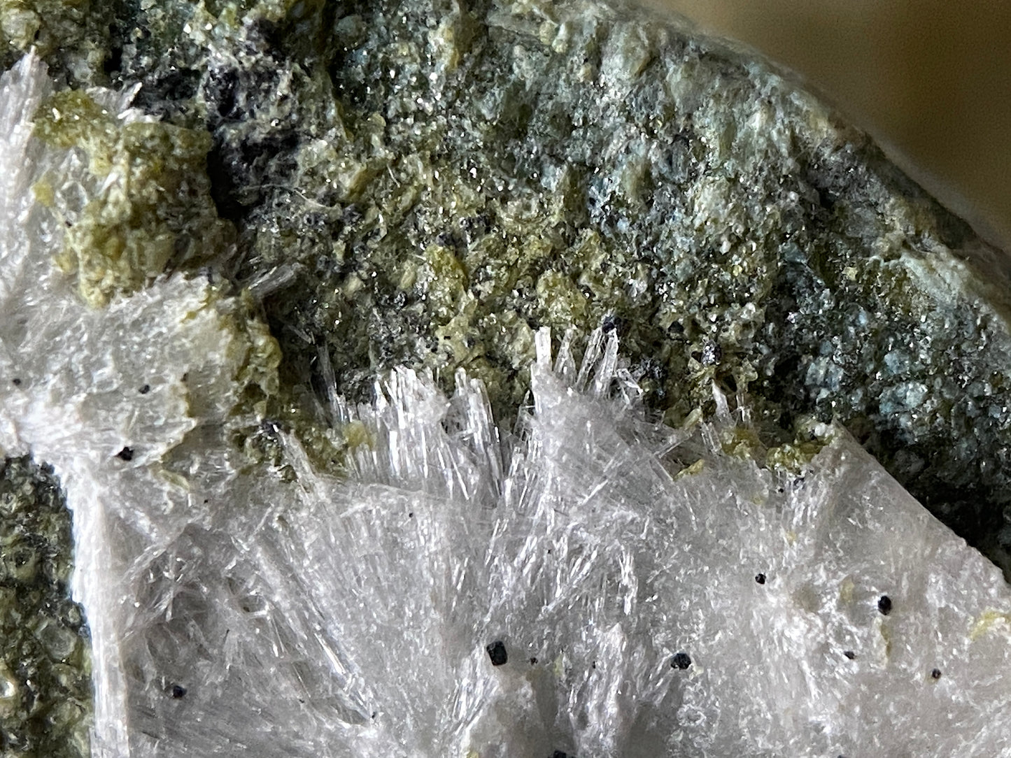 ARTINITE/CHROMITE : GULSEN QUARRY, STYRIA, AUSTRIA. 14g MF4734