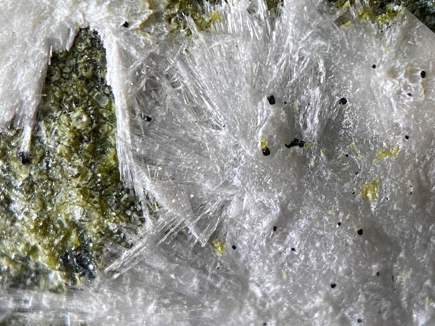 ARTINITE/CHROMITE : GULSEN QUARRY, STYRIA, AUSTRIA. 14g MF4734