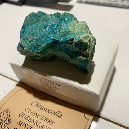 CHRYSOCOLLA : CLONCURRY, QUEENSLAND, AUSTRALIA  71g. MF5442