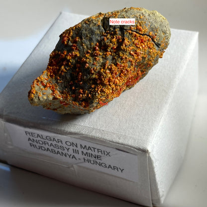 REALGAR ON MATRIX - ANDRASSY III MINE, HUNGARY. 18g. MF2343