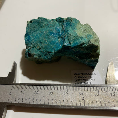 CHRYSOCOLLA : CLONCURRY, QUEENSLAND, AUSTRALIA  71g. MF5442