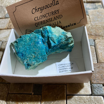 CHRYSOCOLLA : CLONCURRY, QUEENSLAND, AUSTRALIA  71g. MF5442