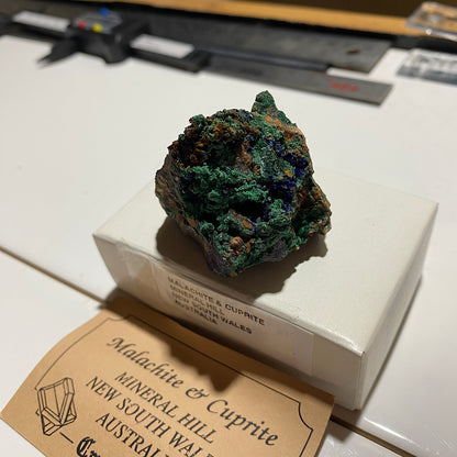 MALACHITE WITH CUPRITE : MINERAL HILL, CONDOBOLIN, N.S.W.  AUSTRALIA  73g MF5443