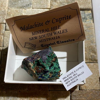 MALACHITE WITH CUPRITE : MINERAL HILL, CONDOBOLIN, N.S.W.  AUSTRALIA  73g MF5443