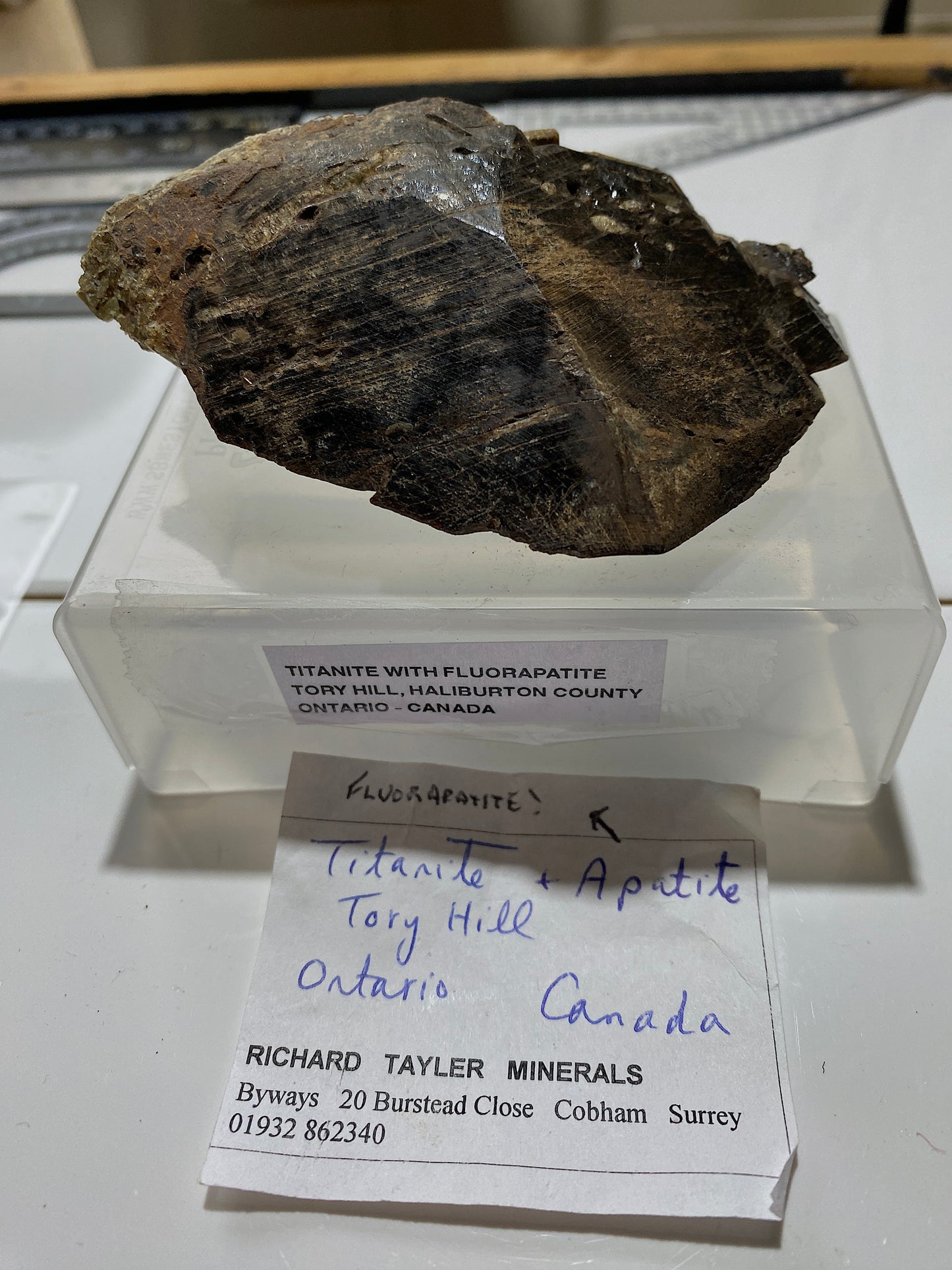 TITANITE/FLUORAPATITE : TORY HILL MINING DISTRICT, ONTARIO, CANADA 1843g MF4736