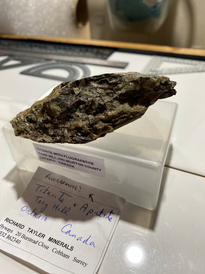 TITANITE/FLUORAPATITE : TORY HILL MINING DISTRICT, ONTARIO, CANADA 1843g MF4736