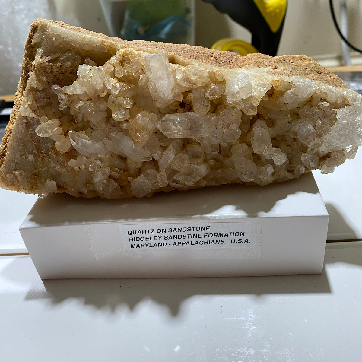 QUARTZ CRYSTALS ON SANDSTONE : RIDGELEY SANDSTONE FORMATION, MARYLAND U.S.A. 496g MF5466