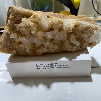 QUARTZ CRYSTALS ON SANDSTONE : RIDGELEY SANDSTONE FORMATION, MARYLAND U.S.A. 496g MF5466