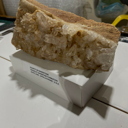 QUARTZ CRYSTALS ON SANDSTONE : RIDGELEY SANDSTONE FORMATION, MARYLAND U.S.A. 496g MF5466