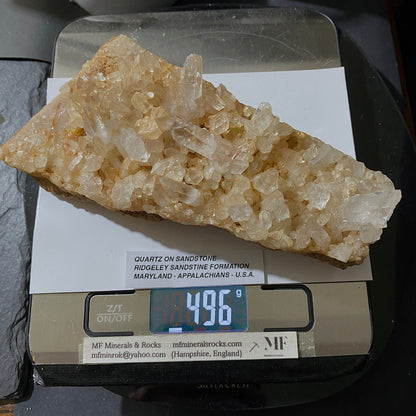 QUARTZ CRYSTALS ON SANDSTONE : RIDGELEY SANDSTONE FORMATION, MARYLAND U.S.A. 496g MF5466