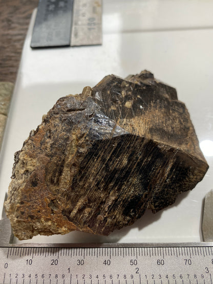 TITANITE/FLUORAPATITE : TORY HILL MINING DISTRICT, ONTARIO, CANADA 1843g MF4736