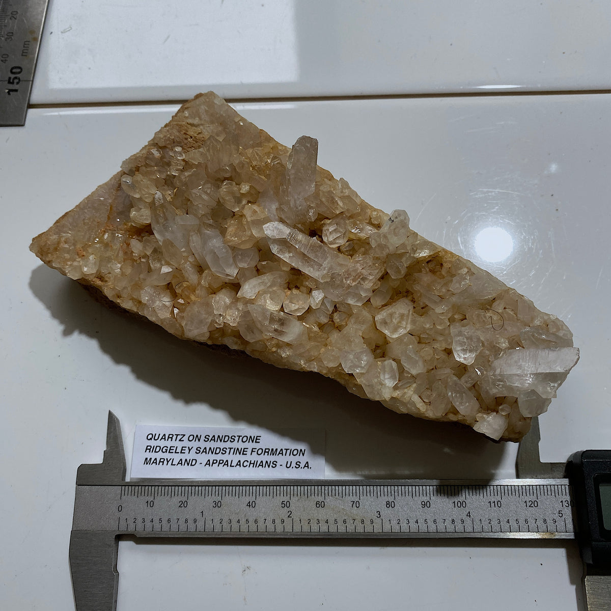 QUARTZ CRYSTALS ON SANDSTONE : RIDGELEY SANDSTONE FORMATION, MARYLAND U.S.A. 496g MF5466