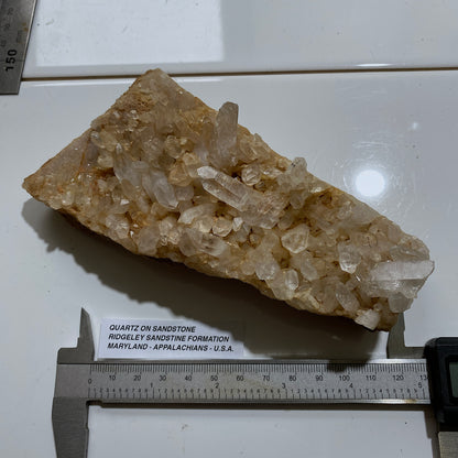 QUARTZ CRYSTALS ON SANDSTONE : RIDGELEY SANDSTONE FORMATION, MARYLAND U.S.A. 496g MF5466