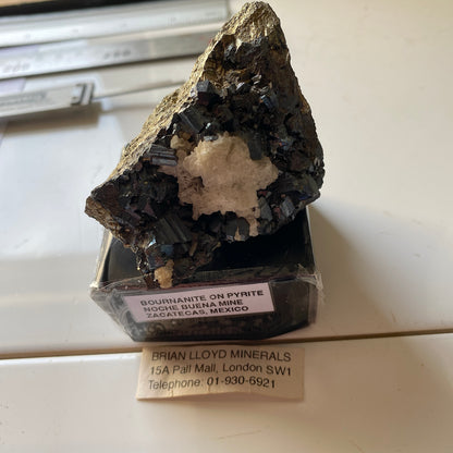 BOURNONITE ON PYRITE - NOCHE BUENA MINE, ZACATECAS, MEXICO  191g. MF932