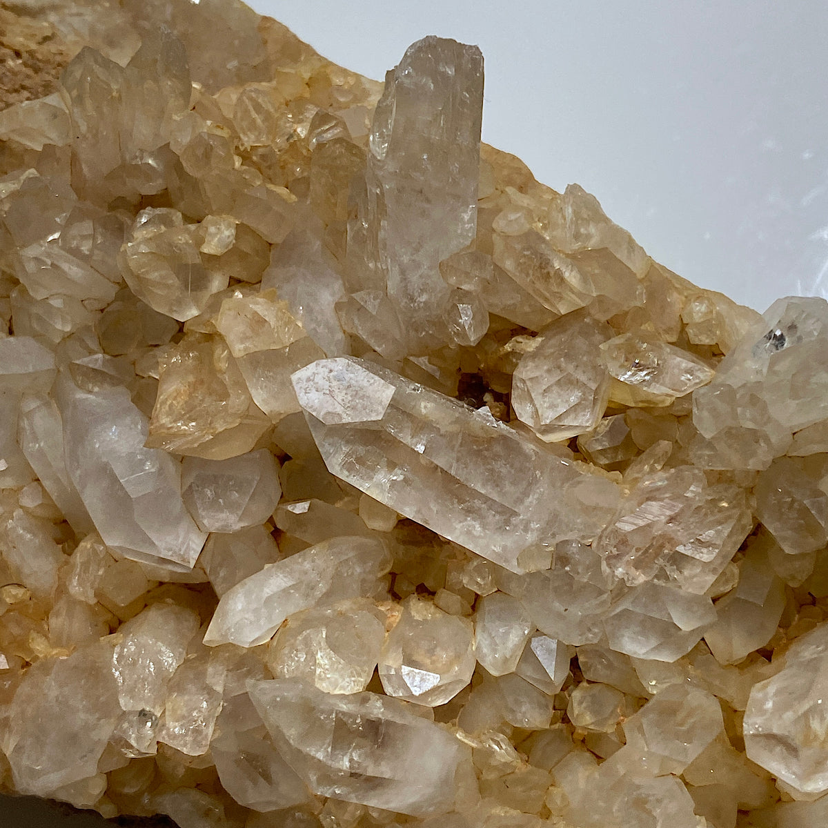 QUARTZ CRYSTALS ON SANDSTONE : RIDGELEY SANDSTONE FORMATION, MARYLAND U.S.A. 496g MF5466