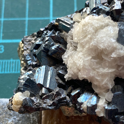 BOURNONITE ON PYRITE - NOCHE BUENA MINE, ZACATECAS, MEXICO  191g. MF932