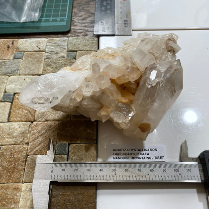 QUARTZ : RARE/IMPRESSIVE  SPECIMEN FROM LAKE CHABYER CAKO, GANGDISE MTS., TIBET. 583g MF5467
