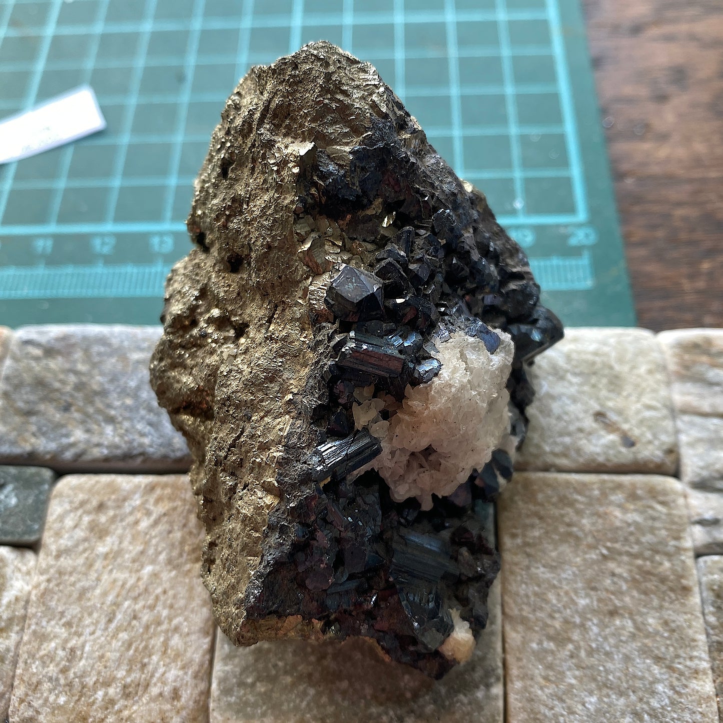 BOURNONITE ON PYRITE - NOCHE BUENA MINE, ZACATECAS, MEXICO  191g. MF932