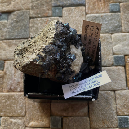 BOURNONITE ON PYRITE - NOCHE BUENA MINE, ZACATECAS, MEXICO  191g. MF932