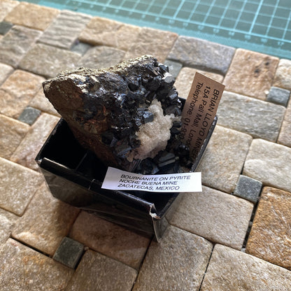 BOURNONITE ON PYRITE - NOCHE BUENA MINE, ZACATECAS, MEXICO  191g. MF932