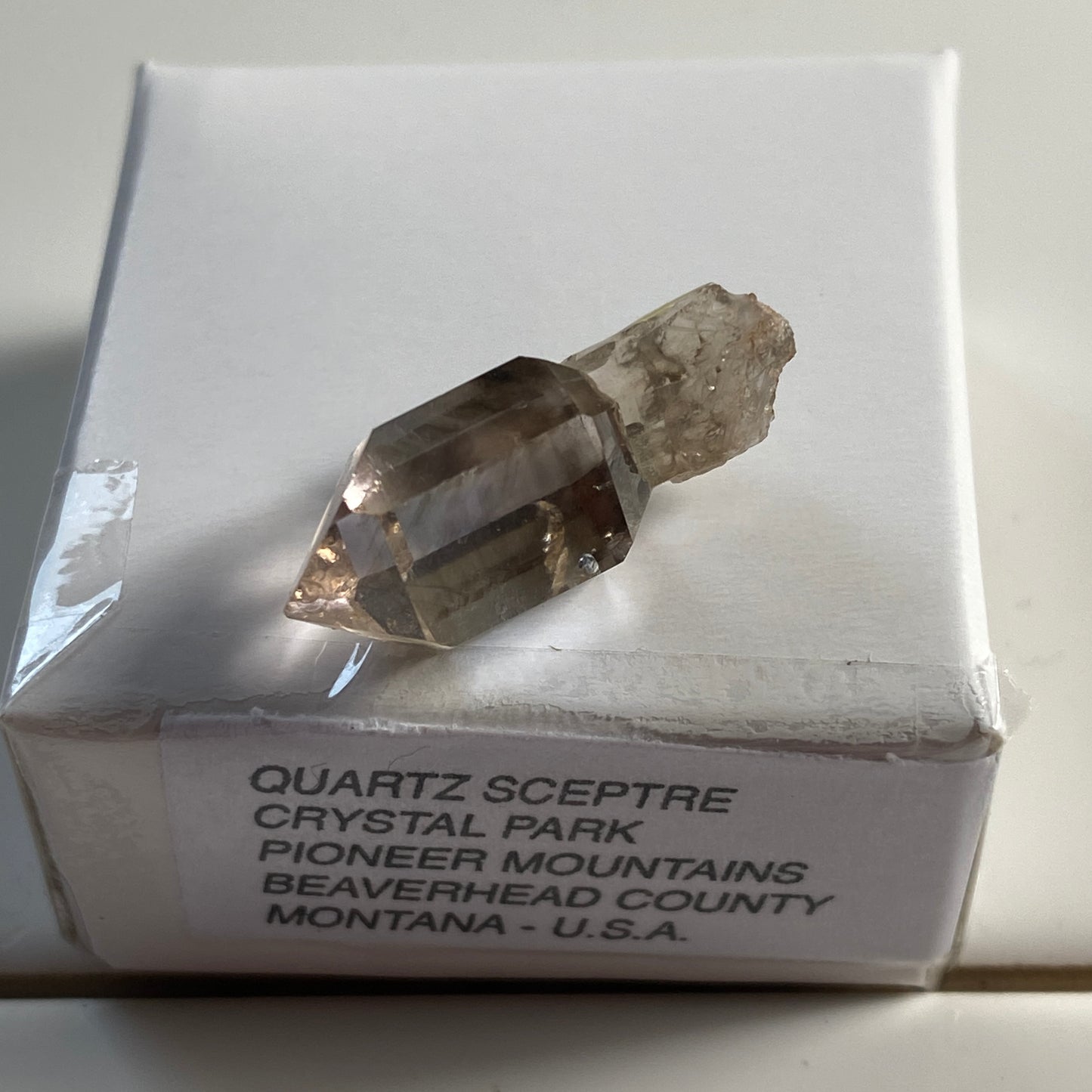 QUARTZ CRYSTAL SCEPTRE - PIONEER MOUNTAINS, MONTANA, U.S.A. 11.55Ct. MF2338