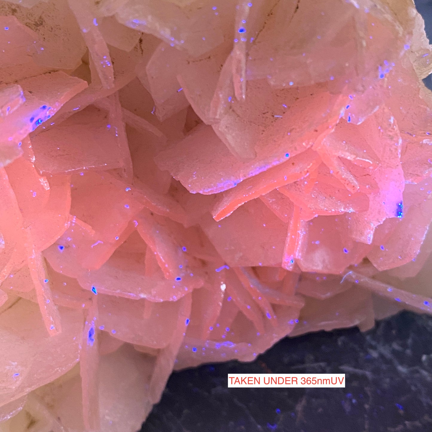 CALCITE - CAVNIC MINE, MARAMURES COUNTY, ROMANIA  161g MF931