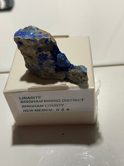 LINARITE : BINGHAM MINING DISTRICT, NEW MEXICO, U.S.A. 7g MF4739