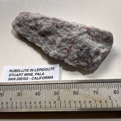 RUBELLITE IN LEPIDOLITE : STURAT MINE, PALA, CALIFORNIA, U.S.A.  23g MF5456