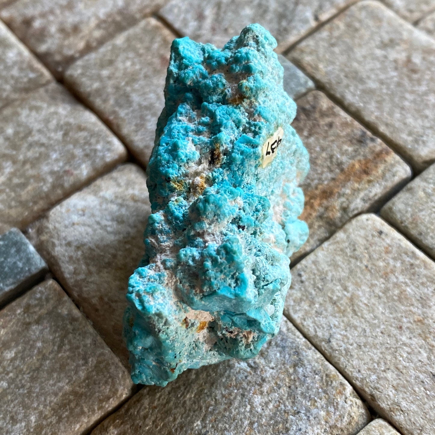 TURQUOISE- TURQUOISE MOUNTAIN,  MOHAVE COUNTY, ARIZONA, U.S.A.  30g. MF2348