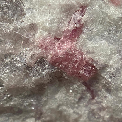 RUBELLITE IN LEPIDOLITE : STURAT MINE, PALA, CALIFORNIA, U.S.A.  23g MF5456