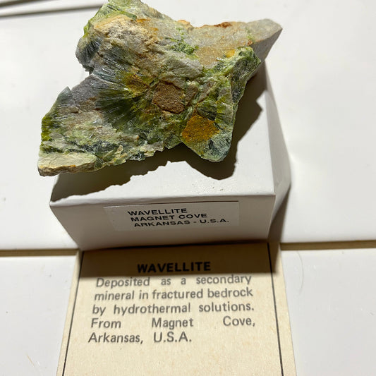 WAVELLITE : MAGNET COVE, HOT SPRINGS COUNTY, ARKANSAS U.S.A.  30g MF5458