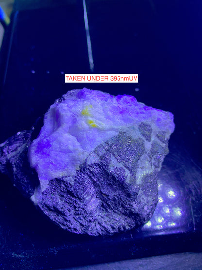 SOLID GALENA WITH FLUORITE : BOLTSBURN MINE, ROOKHOPE, CO DURHAM, ENGLAND 513g MF4743