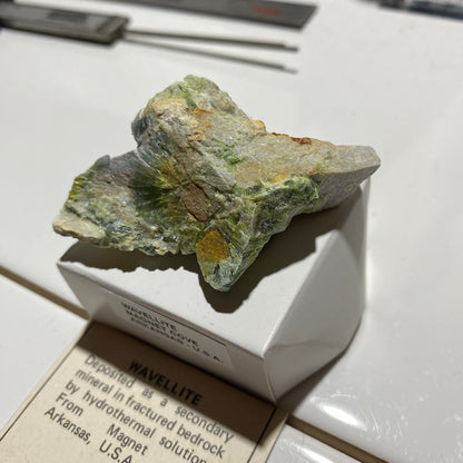 WAVELLITE : MAGNET COVE, HOT SPRINGS COUNTY, ARKANSAS U.S.A.  30g MF5458