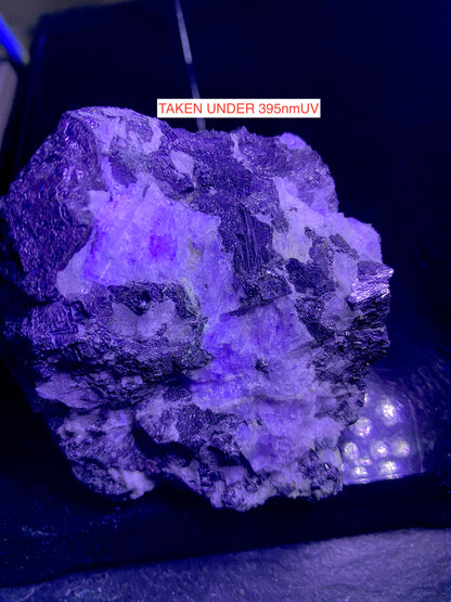 SOLID GALENA WITH FLUORITE : BOLTSBURN MINE, ROOKHOPE, CO DURHAM, ENGLAND 513g MF4743