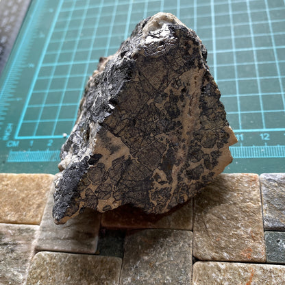 ORE SPECIMEN - ROZALIA MINE, BANSKA BYSTRICA MINING DISTRICT,  SLOVAKIA. 351g MF982
