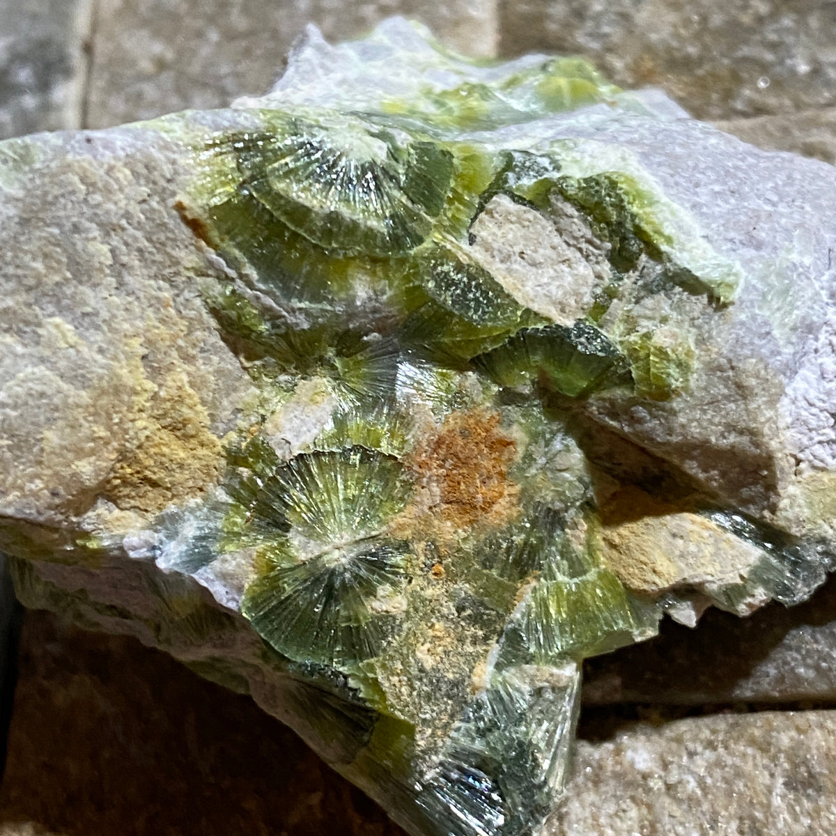 WAVELLITE : MAGNET COVE, HOT SPRINGS COUNTY, ARKANSAS U.S.A.  30g MF5458