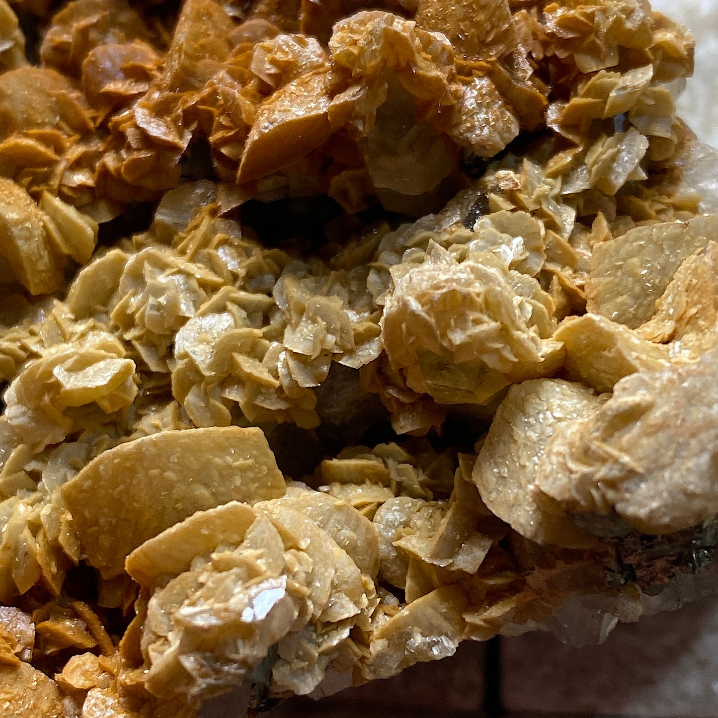 SIDERITE/DOLOMITE/PYRITE ETC ETC - CAVNIC MINE, MARAMURES COUNTY, ROMANIA 260g MF940