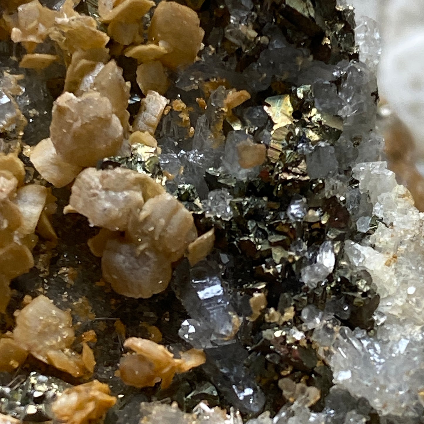 SIDERITE/DOLOMITE/PYRITE ETC ETC - CAVNIC MINE, MARAMURES COUNTY, ROMANIA 260g MF940