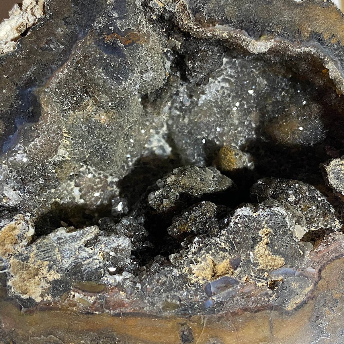SMOKE QUARTZ GEODE NODULE : LOS CHOYAS GEODE DEPOSIT, MEXICO 787g MF5460