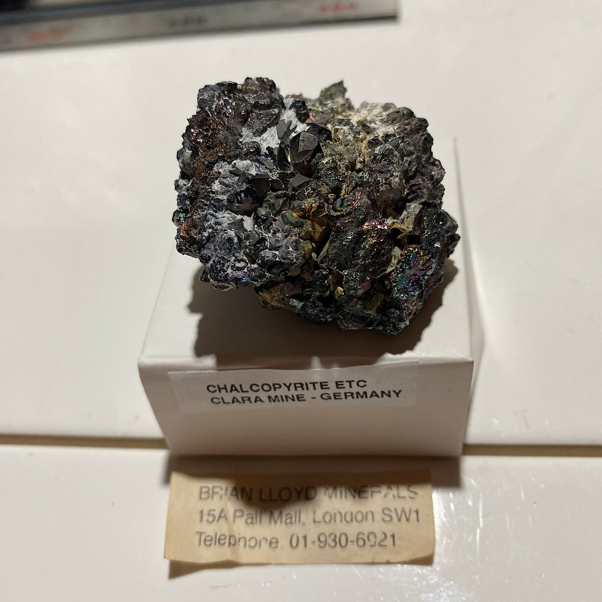 CHALCOPYRITE [ETC] : CLARA MINE, FREIBURG, GERMANY. 83g. MF5461