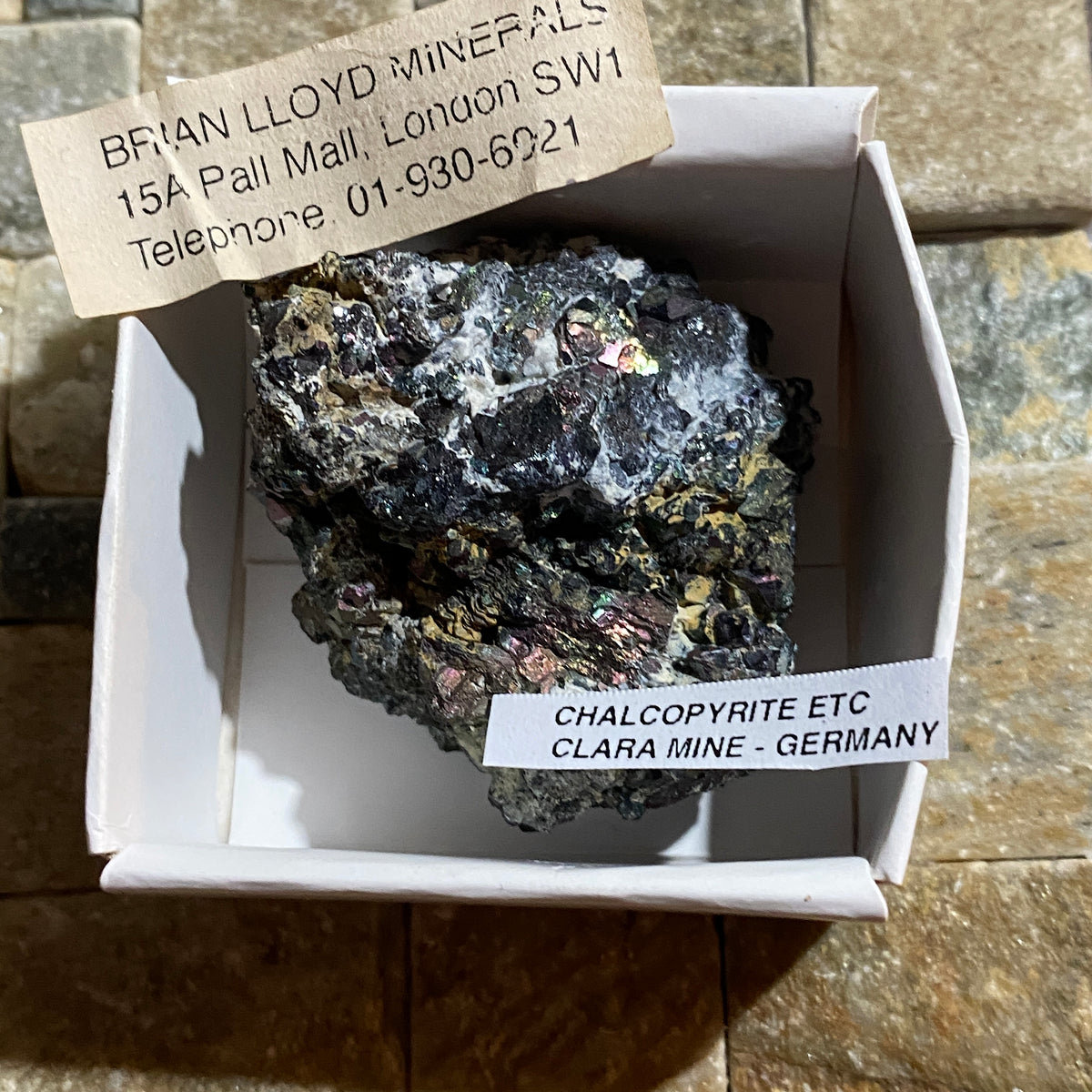 CHALCOPYRITE [ETC] : CLARA MINE, FREIBURG, GERMANY. 83g. MF5461