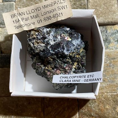 CHALCOPYRITE [ETC] : CLARA MINE, FREIBURG, GERMANY. 83g. MF5461