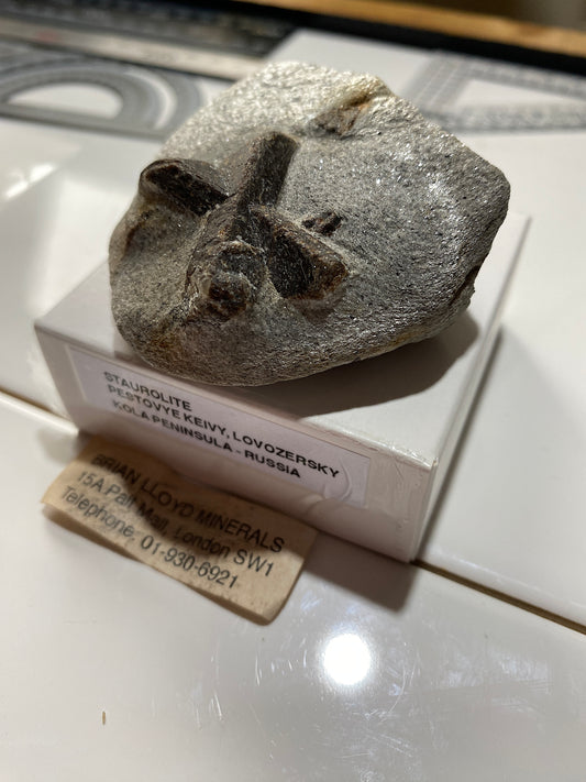 STAUROLITE ON MICA SCHIST : PESTOVYE KEIVY, KOLA PENINSULA, RUSSIA 101g MF4823