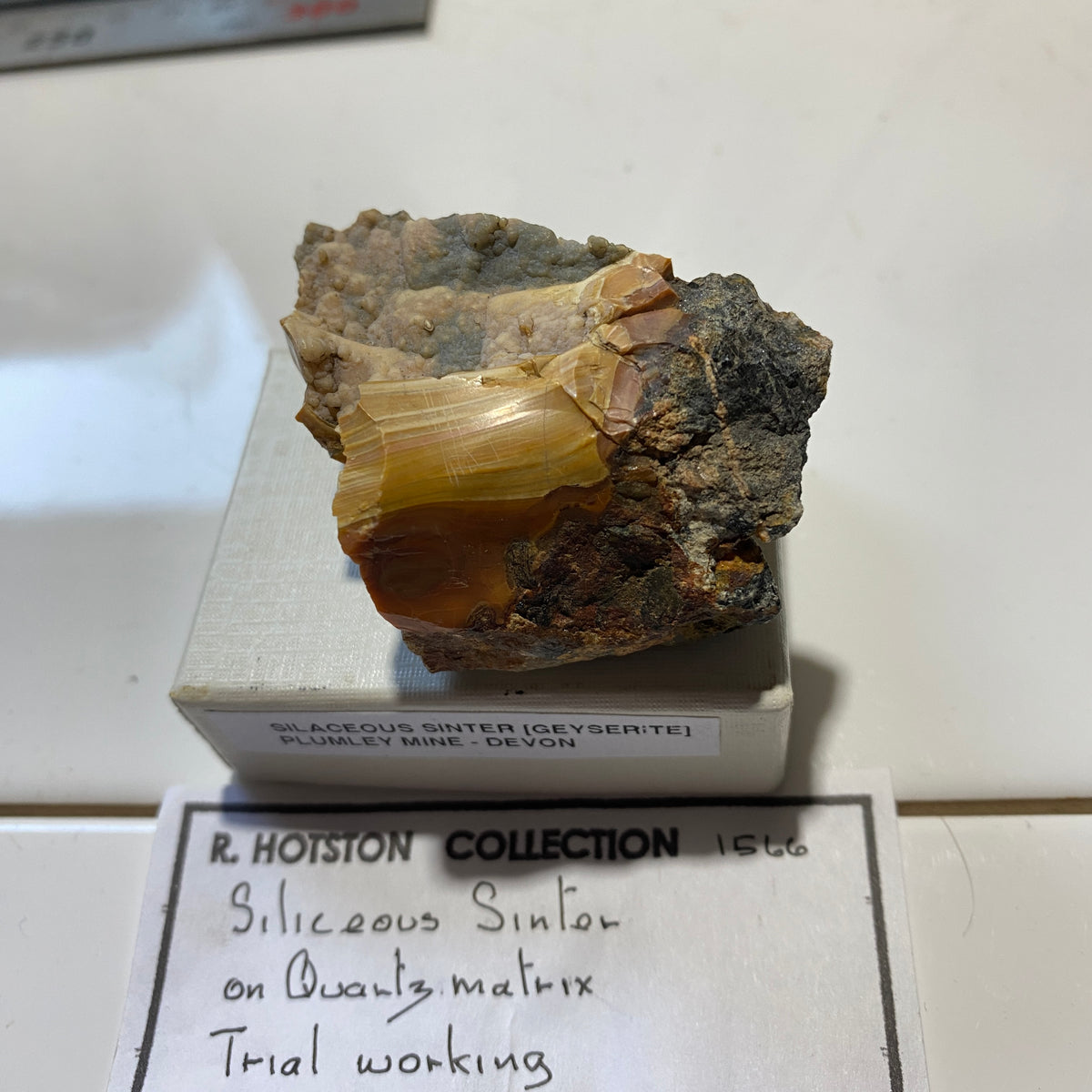 SILACEOUS SINTER [GEYSERITE] : PLUMLEY MINE, LUSTLEIGH, DEVON, ENGLAND  64g MF5463